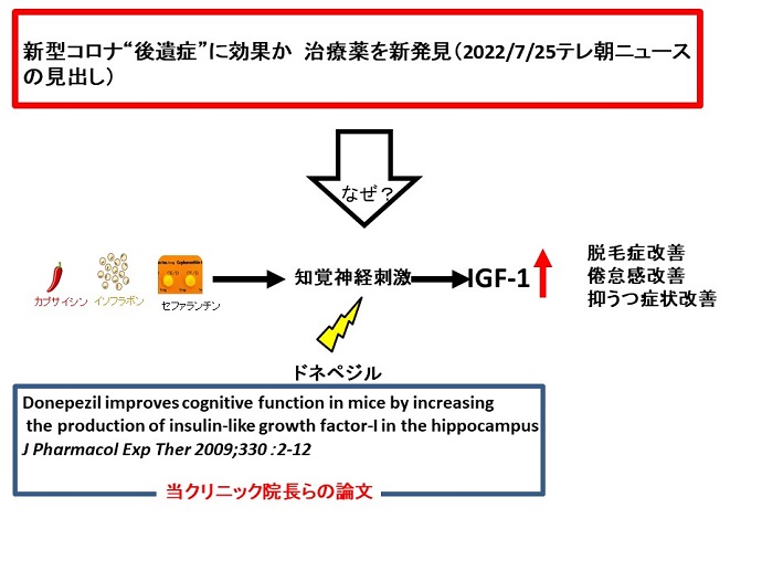円形脱毛症　病院